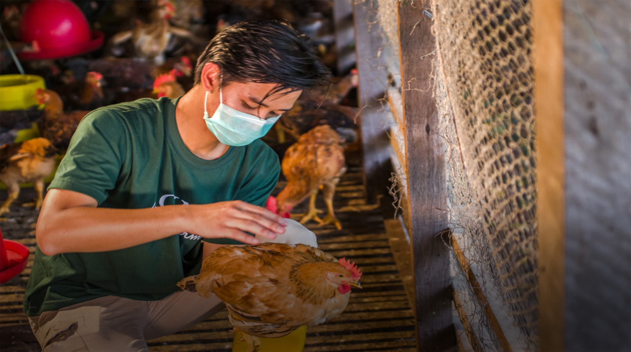 Humanely Raised  With No Growth Hormones & Antibiotic Residues